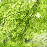 彩の森入間公園19