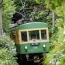 トンネルから現る300型！