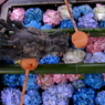 花手水