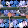 花手水