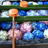 花手水