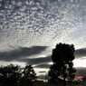 夏を通り越して秋の空？