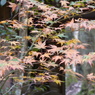 石柱渓