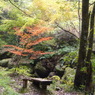 石柱渓