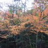 石柱渓