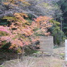 奥野川ホタル谷
