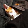 キャップを被ってどちらへ？