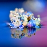 ガクアジサイ真実の花