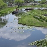 雲に浮かぶ