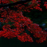 紅葉 021