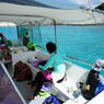 座間味2010-6