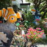 座間味2010-2