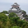 s-DSC_0002_3838