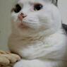 アミちゃん