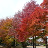 叶松児童公園