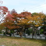 叶松児童公園