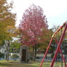 叶松児童公園