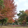 叶松児童公園
