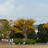 叶松児童公園
