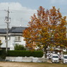叶松児童公園