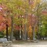 叶松児童公園
