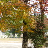 叶松児童公園