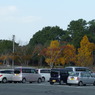 江汐公園
