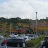 江汐公園
