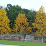 江汐公園