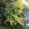 江汐公園