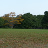 江汐公園