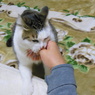負けるもんかー