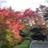 来迎寺