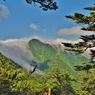 雲海6