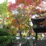 来迎寺