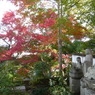 来迎寺