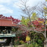 来迎寺