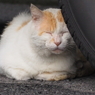 落ち着く場所