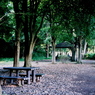 「benches 02」 (film)