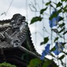 s-DSC_0166_4208