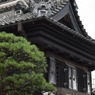 s-DSC_0172_4210