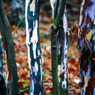 camouflage