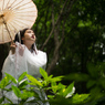 雨の気がすむまで