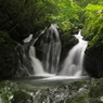 嵯峨川上流②
