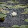 雨模様