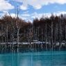 美瑛町　青い沼（氷面編）