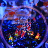 アートアクアリウム2019 XII