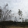 大観覧車1 2015 iPhone 4S