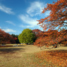 光が丘公園の風景