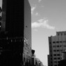 P1010519